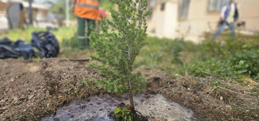 � ����������� � ������ � ��������� �������� �����