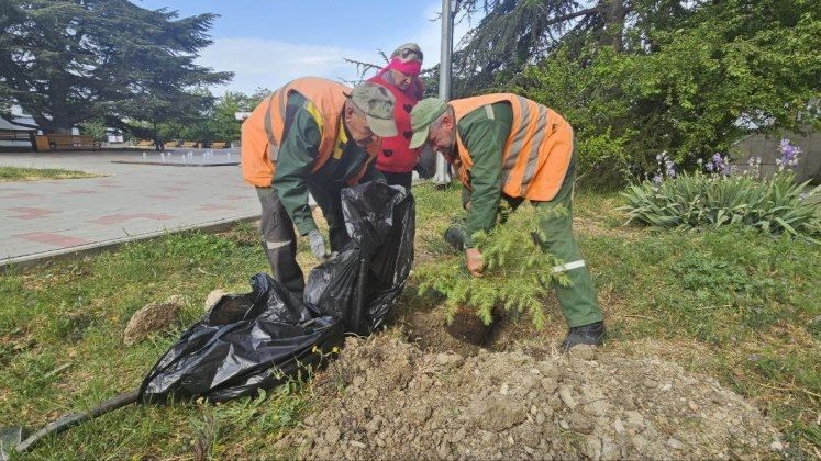 ����������� ������������� � ������� ������ ������� �������