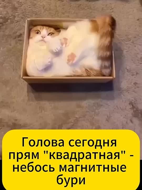 ������ � ������ ������� ������������� �������� �� ������ ��������� ���� � ������ ����