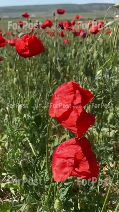 � ����� ���������� ������������ ����� ���������� � �����