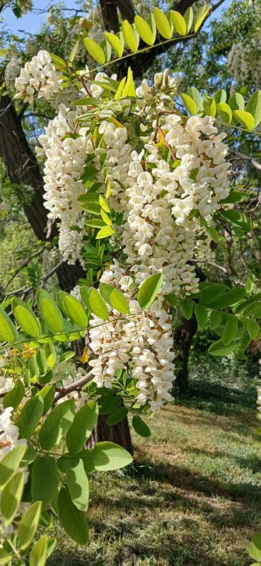 ������� ���������� ����. � ����������� �����, ���� �����