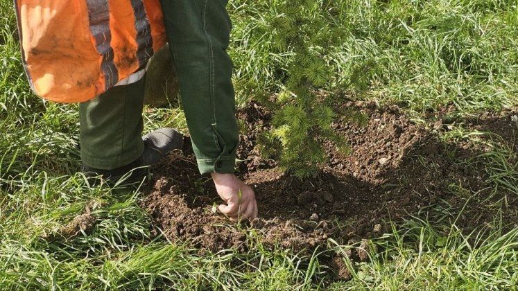 ����������� ������������� � ������� ������ ������� �������