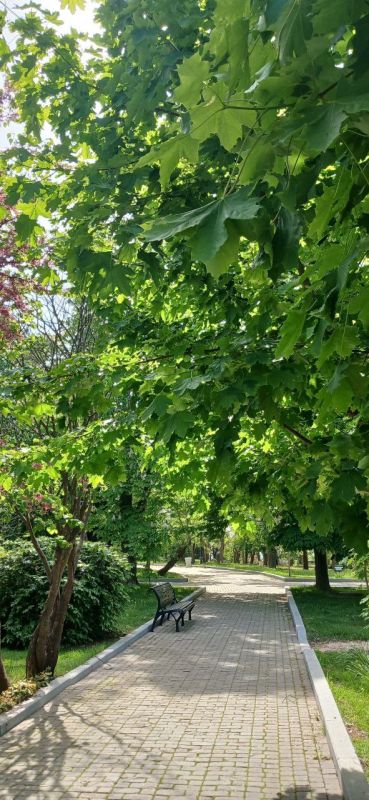 ������� ���������� ����. � ����������� �����, ���� �����