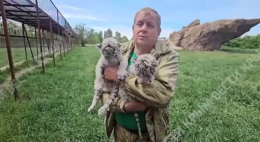 � ������-����� �������� �������� ������ ����� �������!