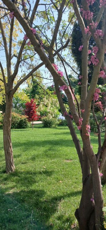 ������� ���������� ����. � ����������� �����, ���� �����