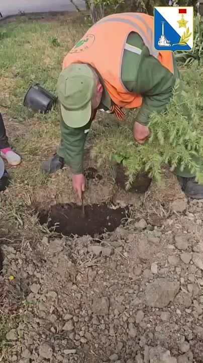 ������ ������� �������. � ������ � �������� ��������� ������� ������������� ����� � ��� �� ������� �������� ������ �������� ���� ������� ������