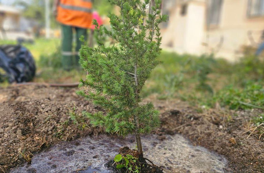 ����������� ���� ������ ������������ ��������������� ������� "����� ������� ������"