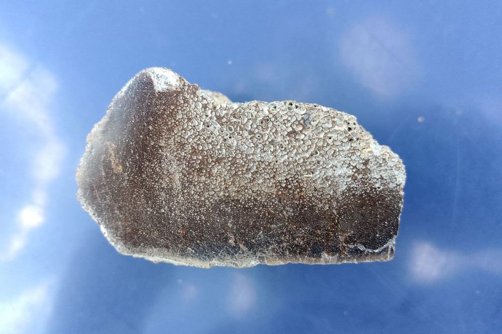 �������� ����������� ����� � ����� �������� ��������� �� ������� ����� �������� ���������