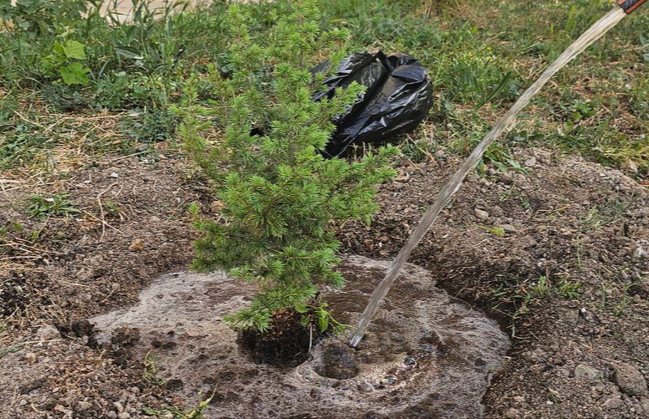 ����������� ���� ������ ������������ ��������������� ������� "����� ������� ������"