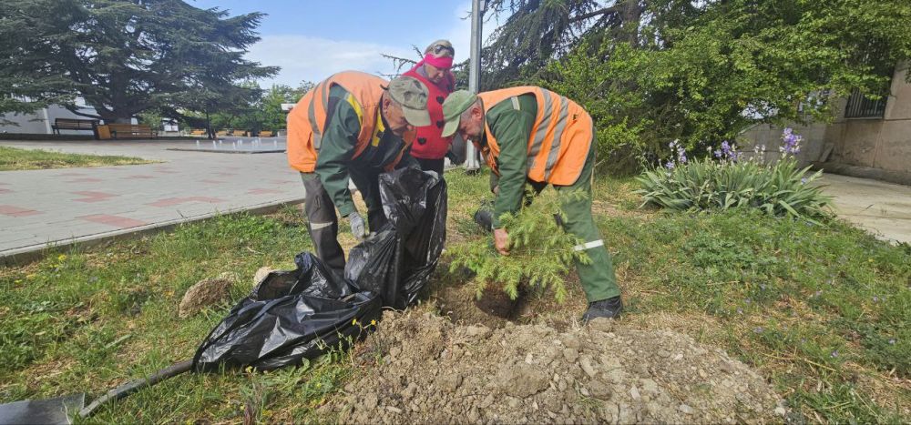 ����������� ���� ������ ������������ ��������������� ������� "����� ������� ������"