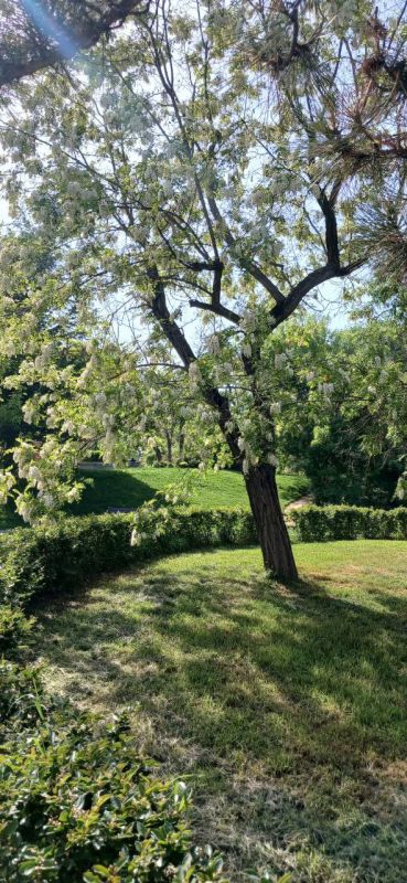 ������� ���������� ����. � ����������� �����, ���� �����