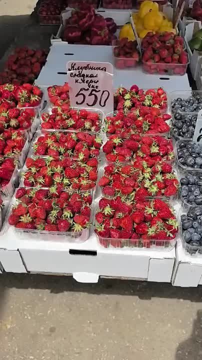 ���� �� ����� � �����������