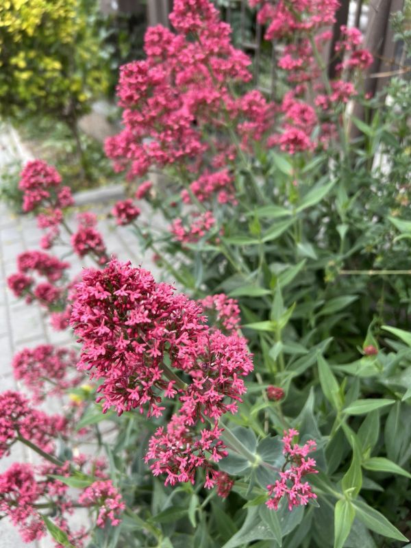 #��� �� ��������?. ���� ����������������� ����� ����� ������ ��� ��������� �������� � ��� �������� �������, ������� �� ����������� �������, �� ���� ���������� ������� ��������-������� ��������