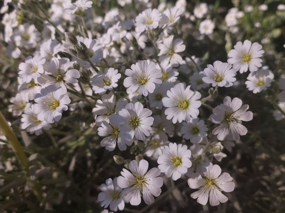 ������� ������ � ����� �� 18 ���