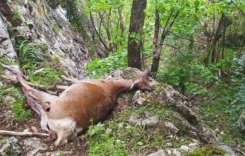 ������� �� ����������� ����� ������ ����� ����� � ������ ����� ���-���-����