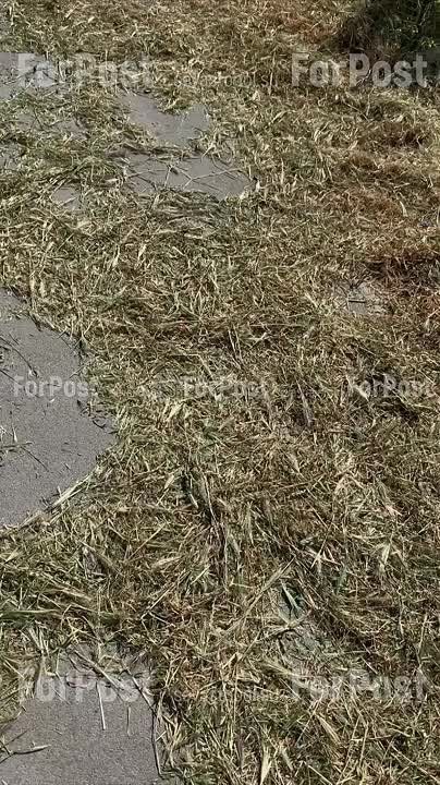 #_.              ? ,   ?   