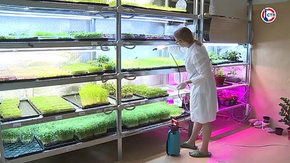 ������������� ������� ��������� � ���������� ���������� ����������