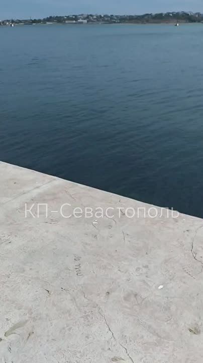 ���� ����������� ������� � ���������� ������