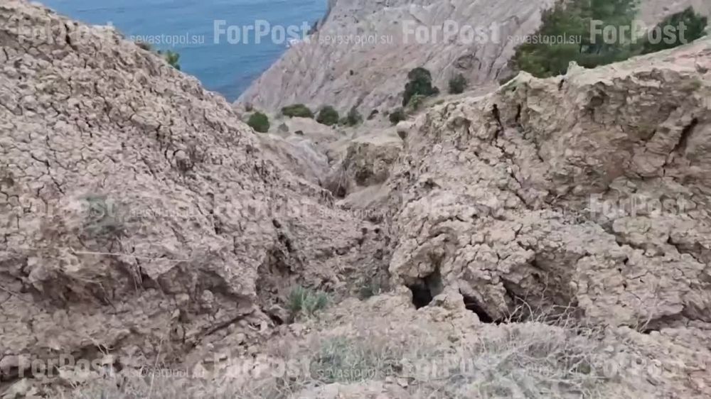 ������ �� ������� ���� � ��������� ����� ������� � �������