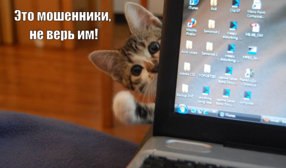 � ����������� ��� ������� ������ ���������� ����� 700 ����� ������