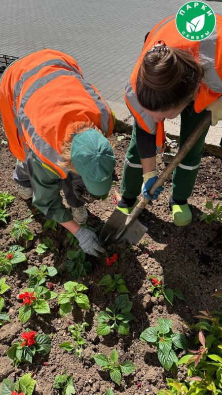 � ����������� �� ������� �������� �������� �������