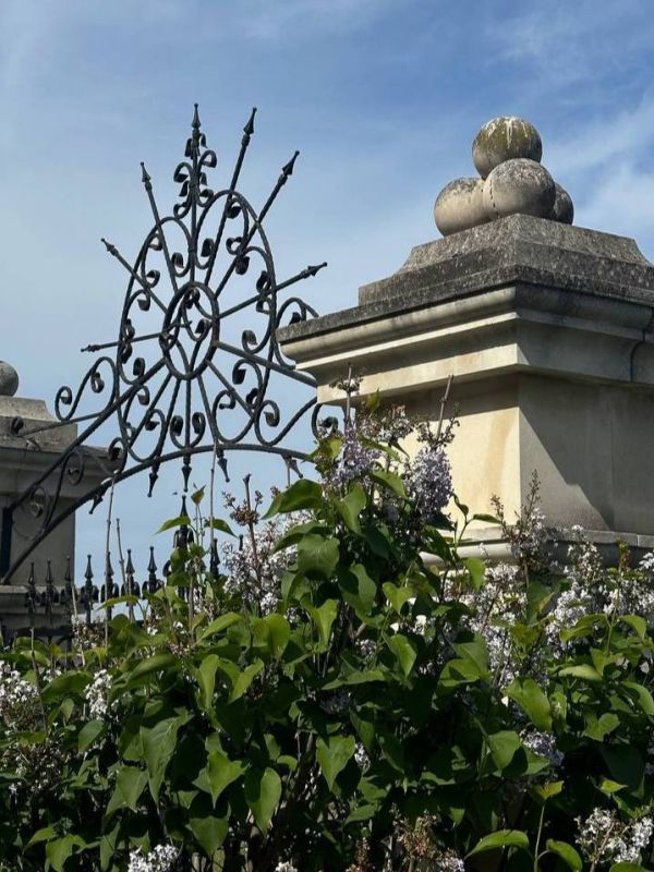 � ������ �����, �����������! ��������� ������� ������� ���������� ����������, ����� ���-��������, ����������� +12..+19��