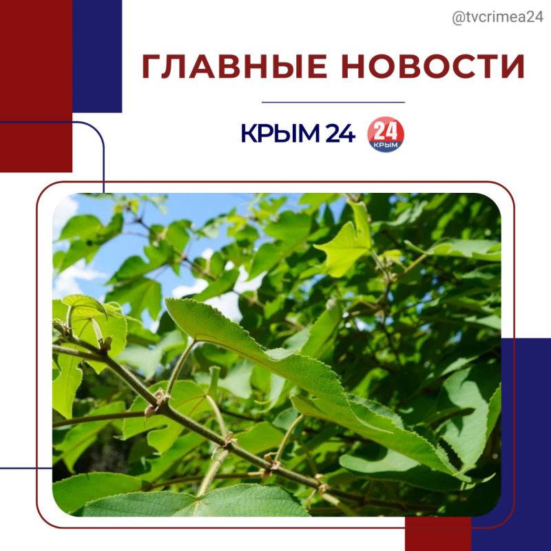 ��������� ������� � ������ ������