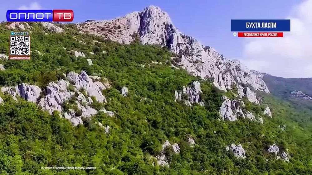 ��� ������. ����� �����. ����� ���� ��� �������� � �����, ����� ������, ��������� ��������� ��� �������