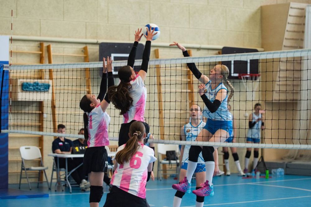 ������ ����������: ������, ��� � ������, ������ ������� � ������������ � ������� �� ��������� ������ �������-������!