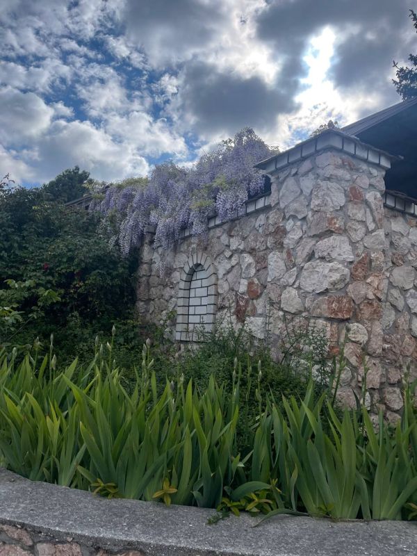 � ������ ����� ������������!