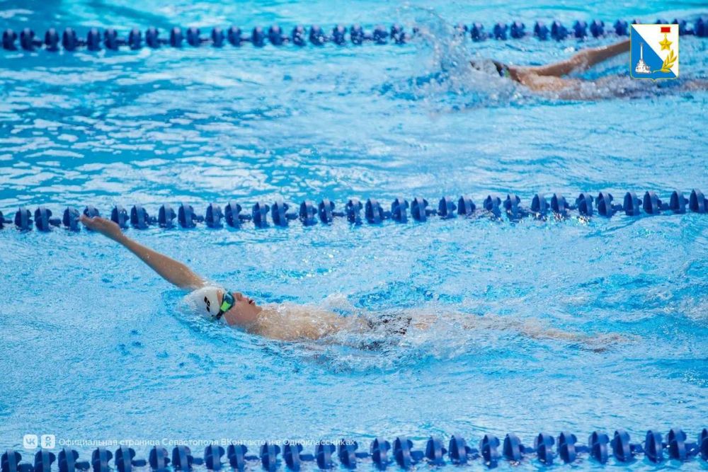 ���������� ������������ �� ��������