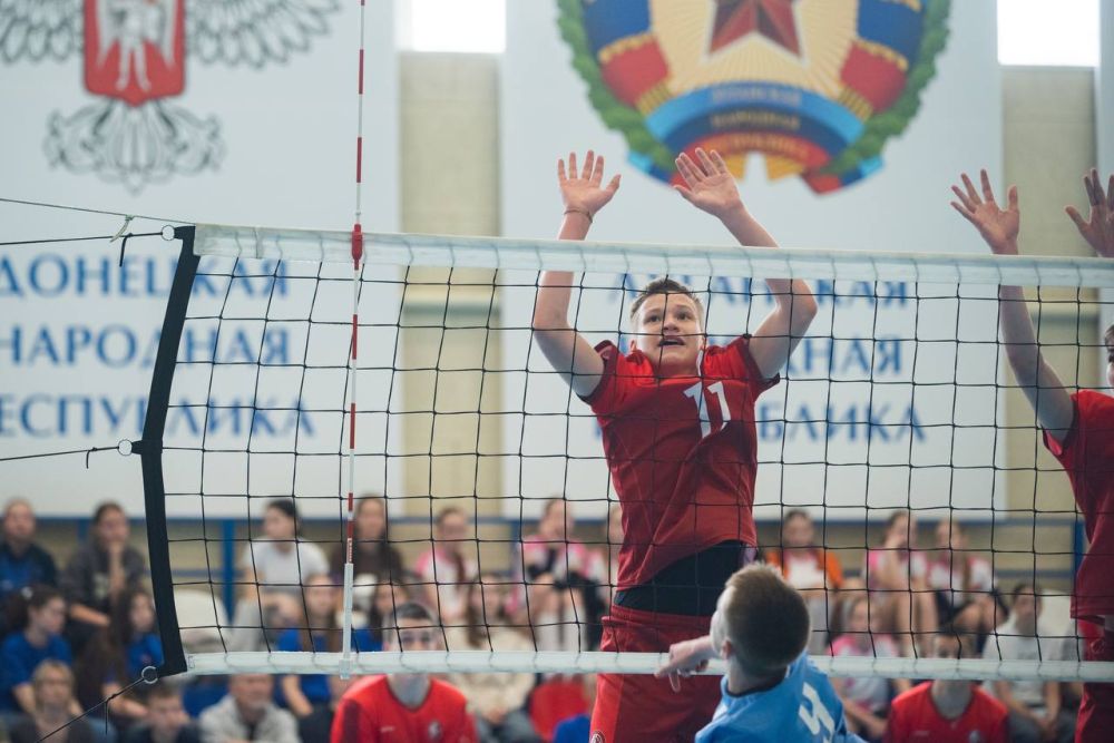 ������ ����������: ������, ��� � ������, ������ ������� � ������������ � ������� �� ��������� ������ �������-������!