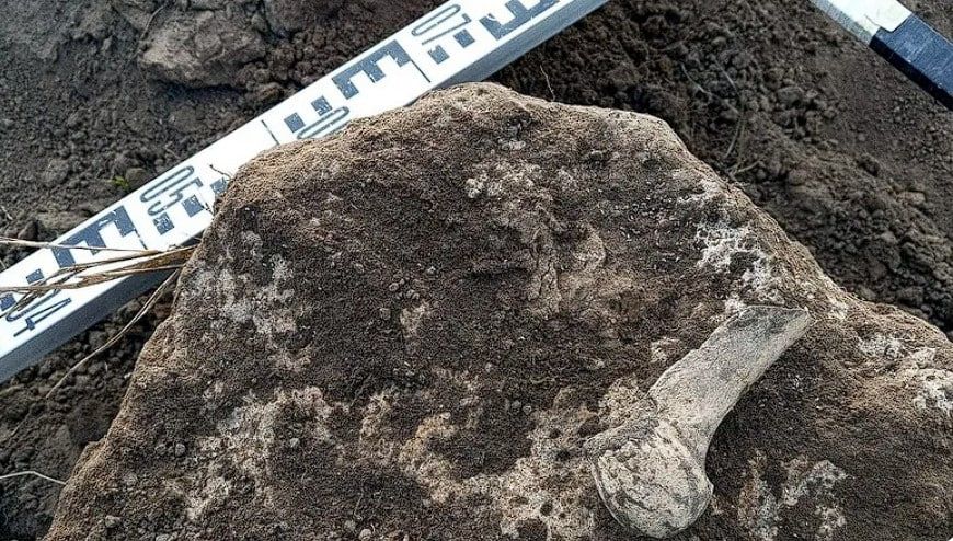 �� ������� ����� ������� ��������� �������� ������ �������