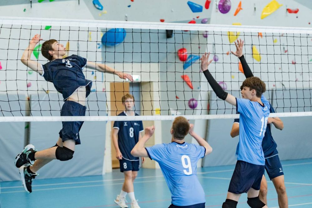 ������ ����������: ������, ��� � ������, ������ ������� � ������������ � ������� �� ��������� ������ �������-������!