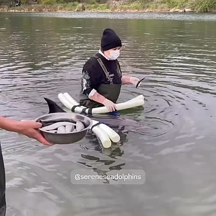    :  ,    
