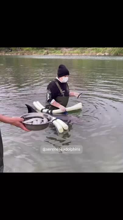 ����� ����� ��������� � ����������� ������� ��������