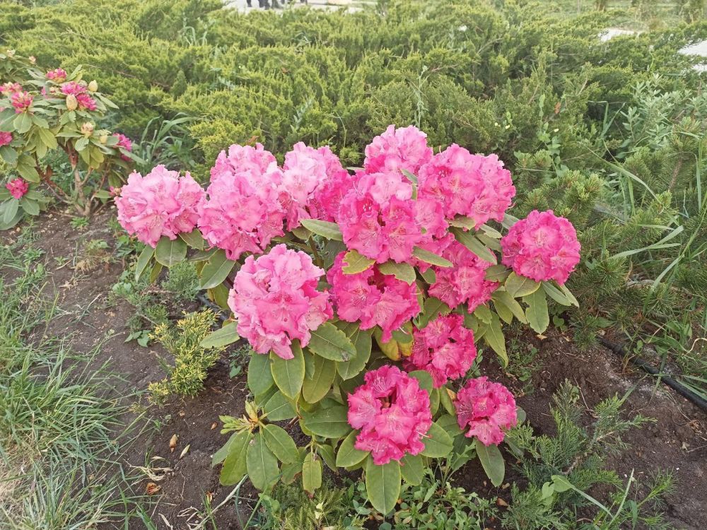 #��� �� ��������?. ��� �������� � �������� �������� "������� �������" � ��� �� ��������� ������ ����������� ����! ��������� ���������� ����� ��������� �� ���-������������