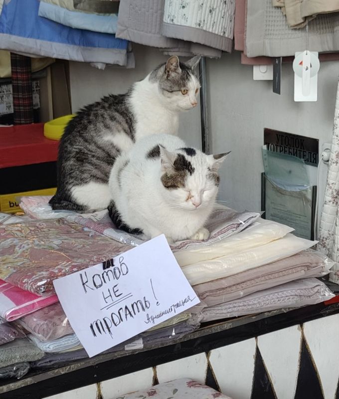 � ������ �����!. � ����������� �� ������� �, �����, ���� �����, �����