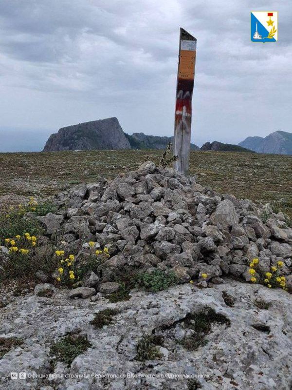 ������� ��������. ������� ������� ��������������� �����: ����������� ������� � ������� ���������� ������ ��������