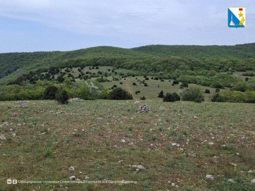 ������� ��������. ������� ������� ��������������� �����: ����������� ������� � ������� ���������� ������ ��������