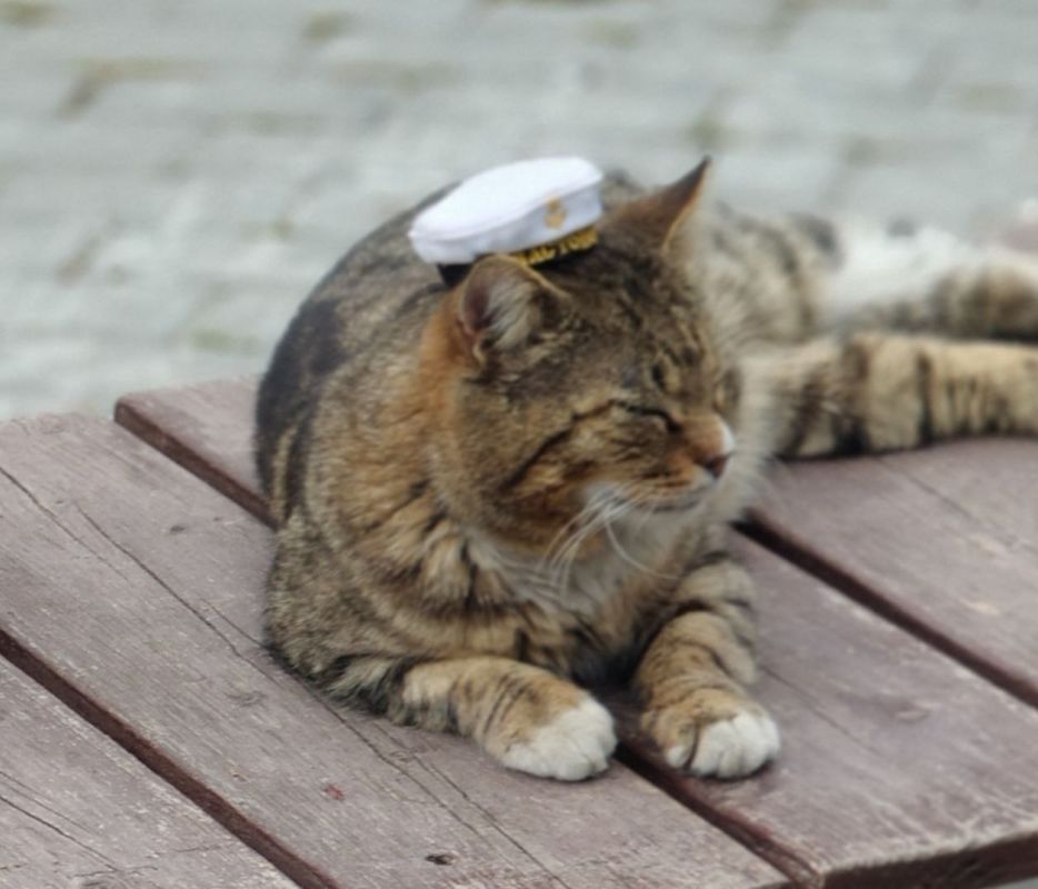 � ������ �����!. � ����������� �� ������� �, �����, ���� �����, �����