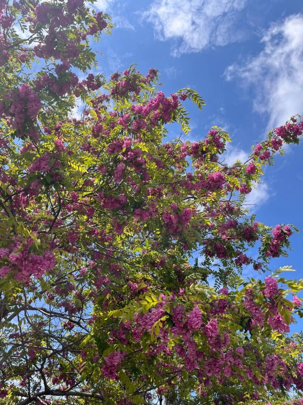 ������ ����, �����������! ������� ��������� ����� � ������� �����