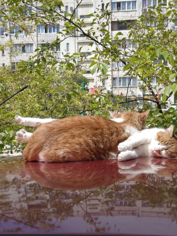 � ������ �����!. � ����������� �� ������� �, �����, ���� �����, �����