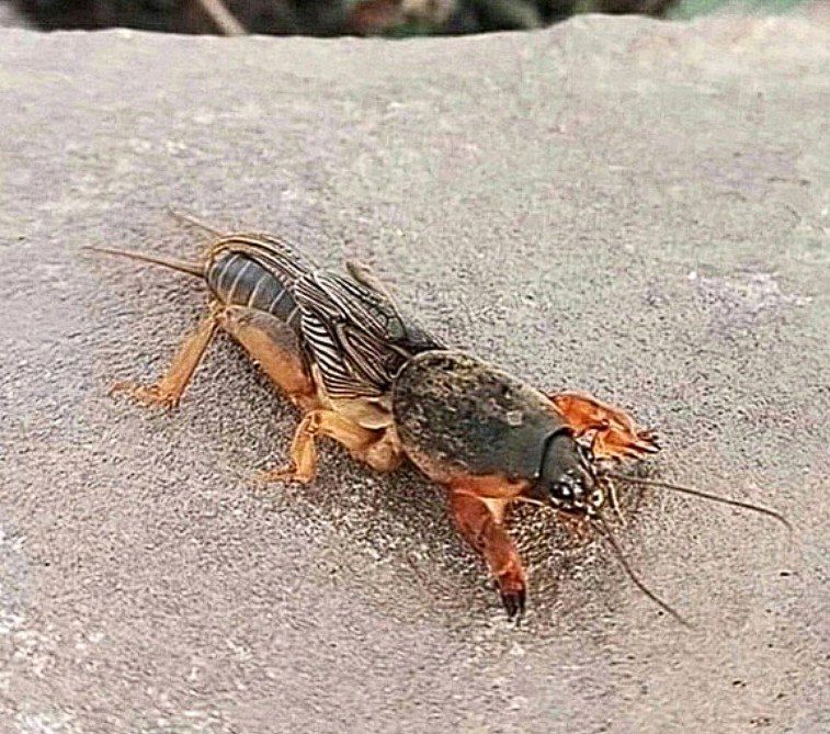 ������, ���� ����� ��������, ������� ��� ������ ����������� ����� ��� �� ������ ������. ���-������ � ����� � ��� �� �����? ��������? ������� ������ ������ �� �����!�