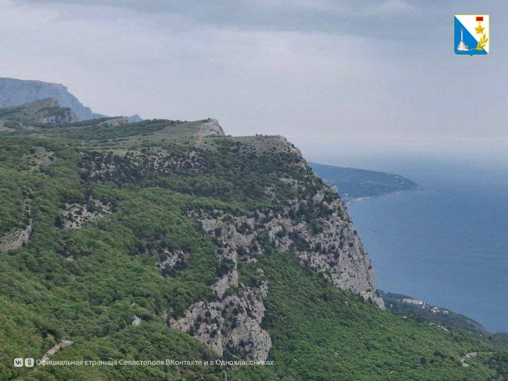 ������� ��������. ������� ������� ��������������� �����: ����������� ������� � ������� ���������� ������ ��������