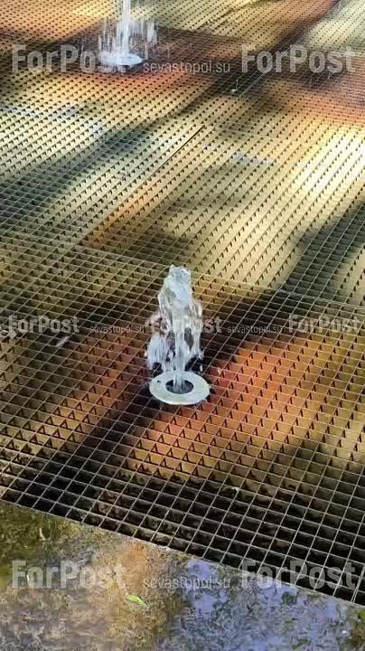 #���_�����. � ������ 60-����� ���� ������������� ������ ������