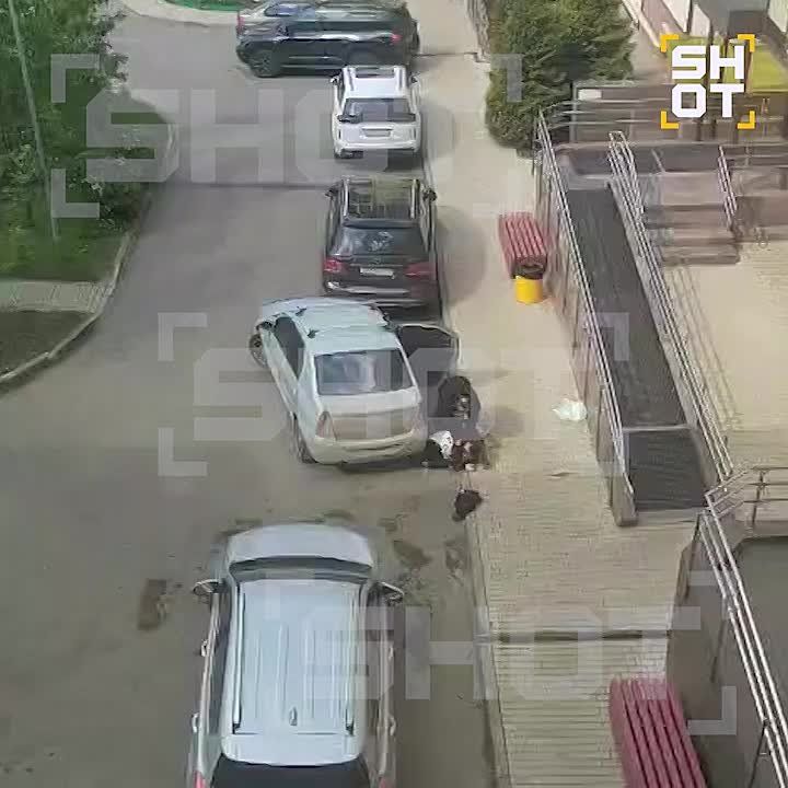       ,        
