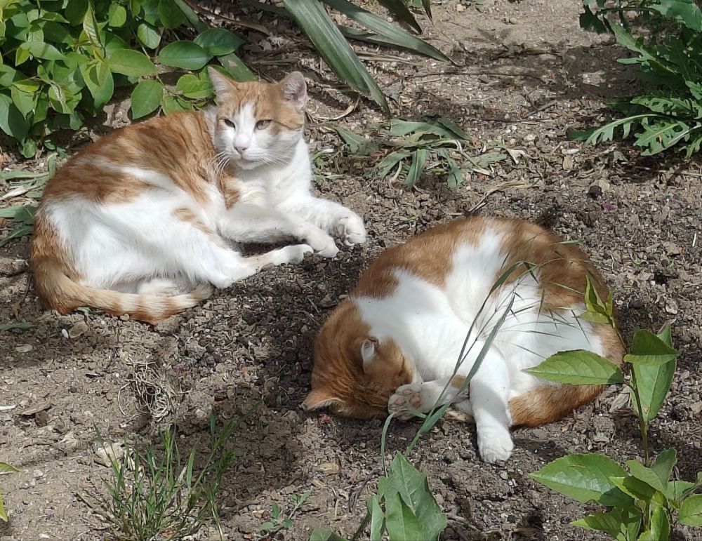 � ������ �����!. � ����������� �� ������� �, �����, ���� �����, �����