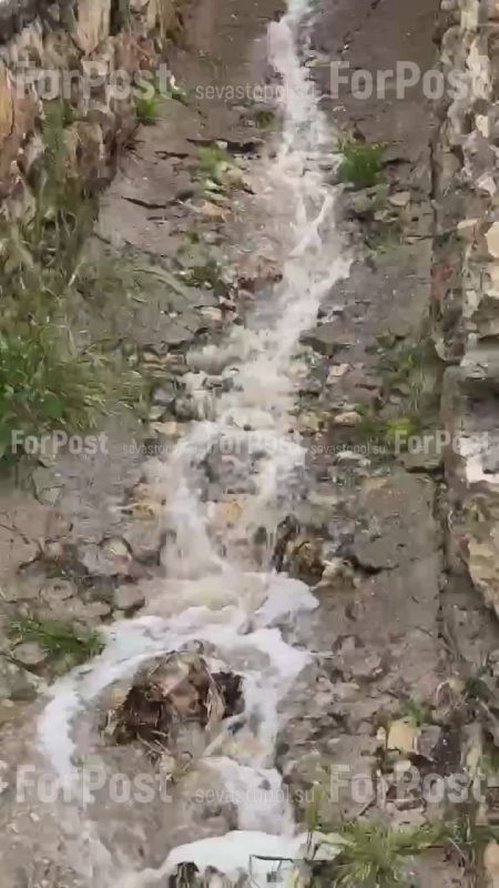 ������ ������ ����������� �� ����� ����� ������������ � ����