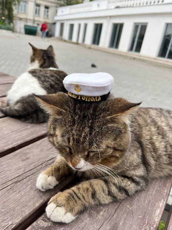 � ������ �����!. � ����������� �� ������� �, �����, ���� �����, �����